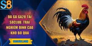 Đá gà GA28 tại S8club: Trải nghiệm đỉnh cao khó bỏ qua