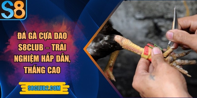 Đá gà cựa dao S8club – Trải nghiệm hấp dẫn, thắng cao